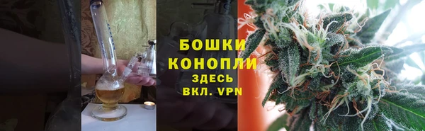 крисы Новозыбков