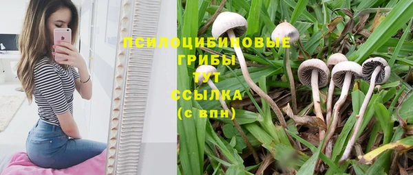 метадон Абаза